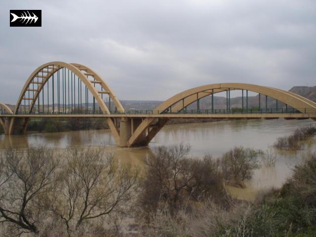 Ebre en crue 021.jpg